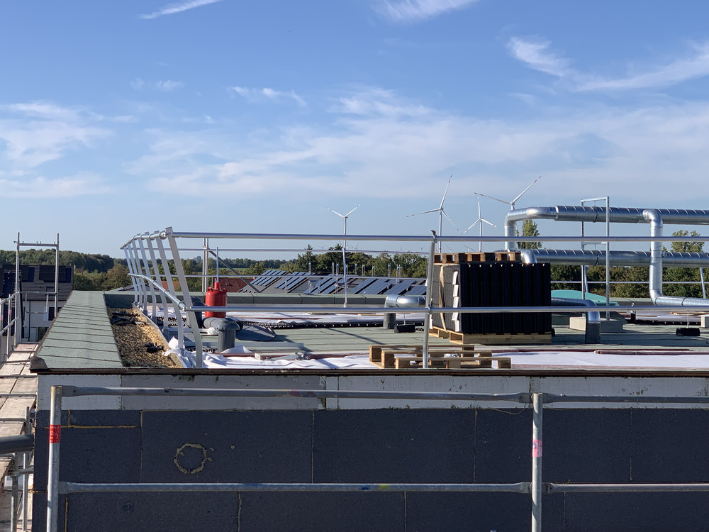 Bild aus dem Jahr 19. September 2025, Dachbegrünung