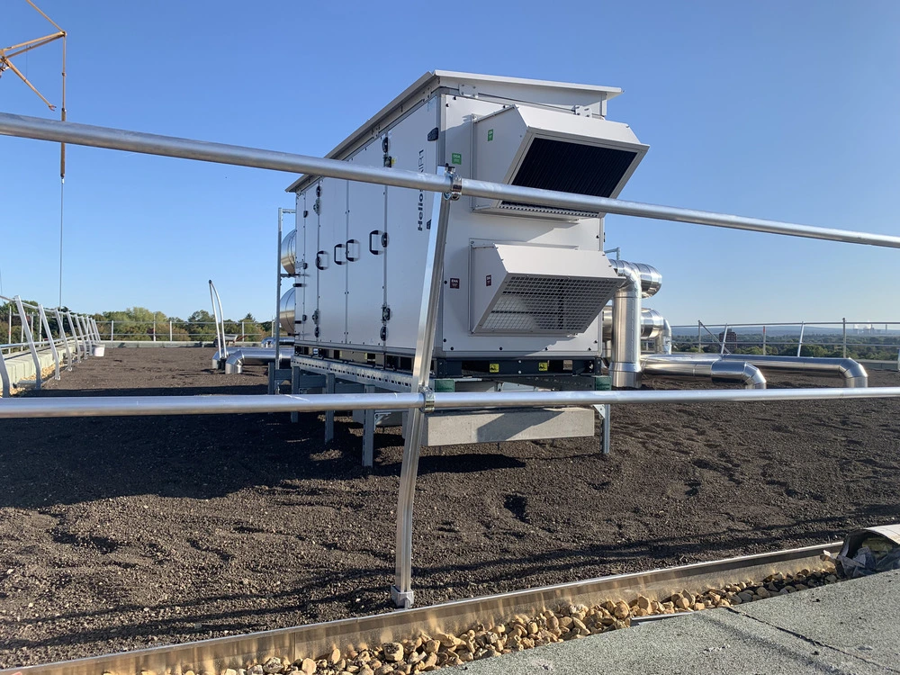 Bild aus dem Jahr 19. September 2025, Dachbegrünung